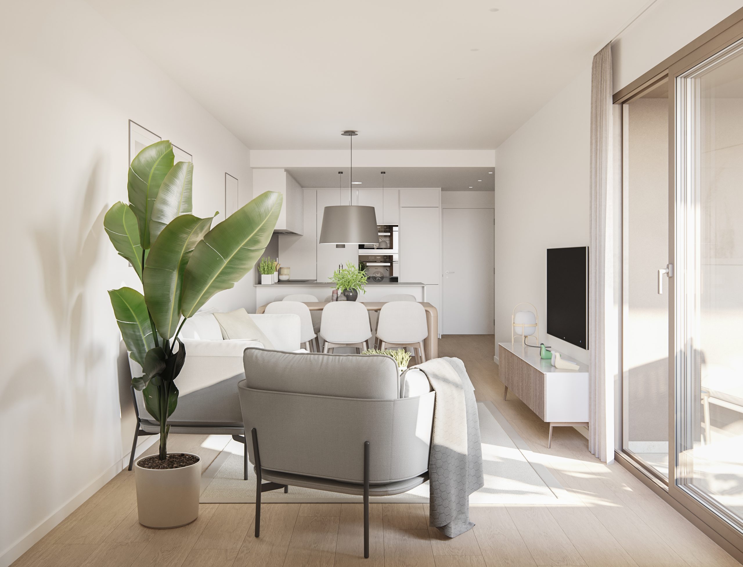 betera_2_cam2_transversal_v2